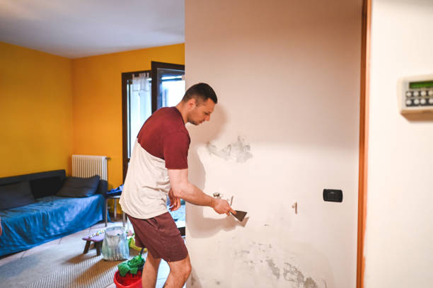 Best Industrial Mold Remediation in Piermont, NY